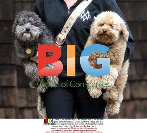 Rebecca Romijn Leaves Groomer With 2 Dogs