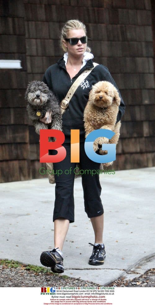 Rebecca Romijn Walks Dogs in Calabasas