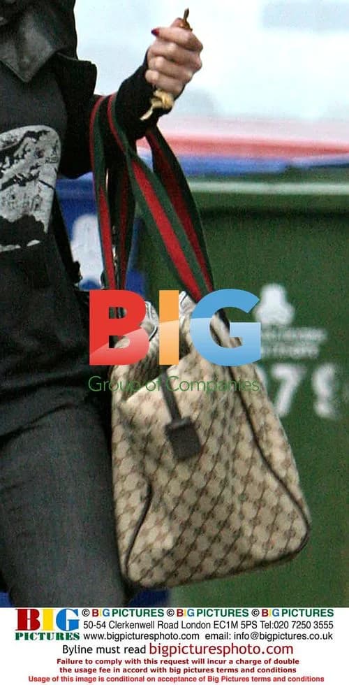 Lindsay Lohan Pulling Trash Can