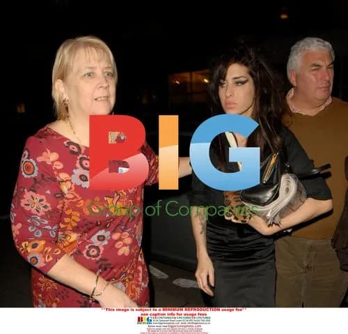 Amy Winehouse checks into rehab clinic