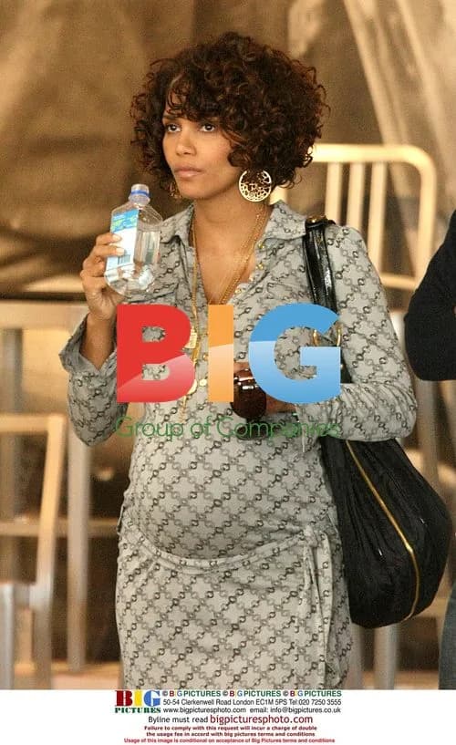 Pregnant Actress Halle Berry