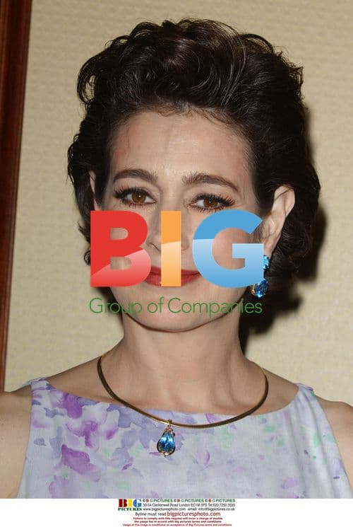 Sean Young at 60th Annual Directors Guild Awards