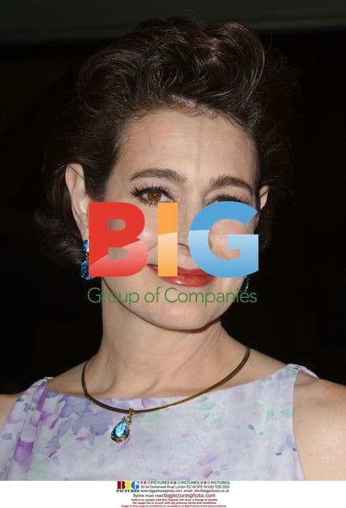 Sean Young at 60th Directors Guild Awards