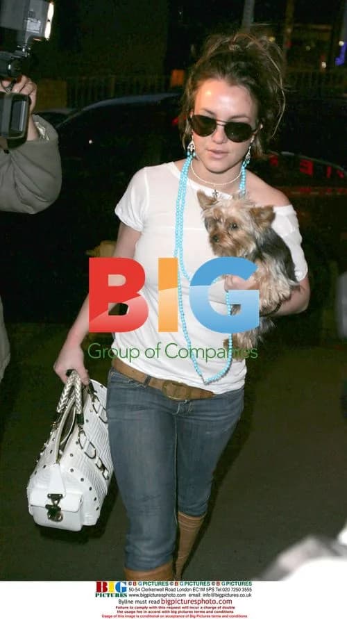 Britney Spears Shopping at Hustler Hollywood