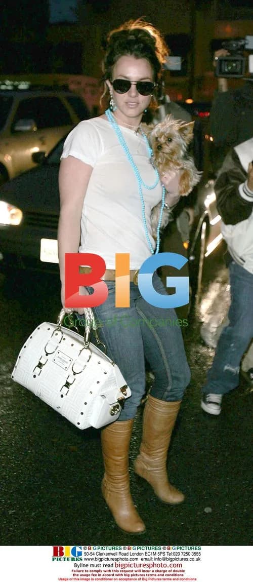 Britney Spears takes dog shopping at Hustler