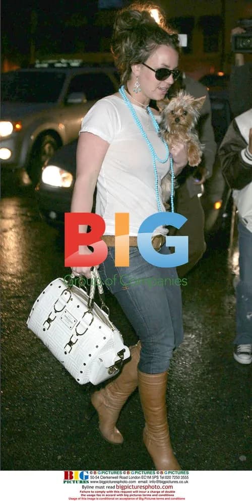 Britney Spears shops at Hustler Hollywood with dog
