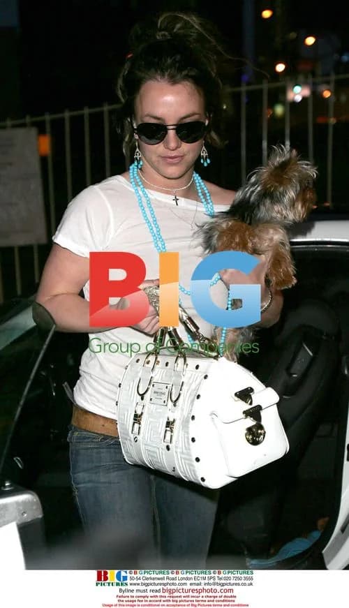 Britney Spears Takes Dog to Hustler