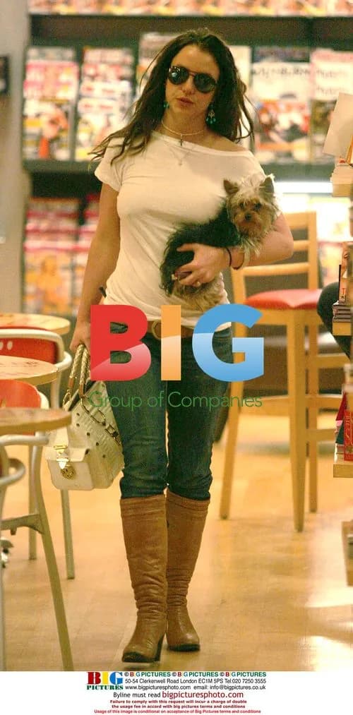 Britney Spears Shopping with Dog