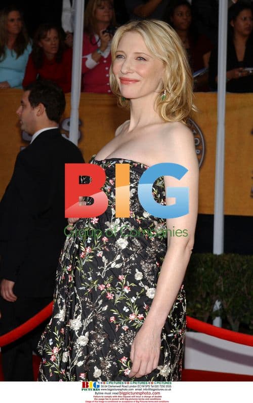 Cate Blanchett at 14th Annual SAG Awards