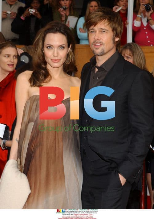 Brad Pitt and Angelina Jolie at 14th SAG Awards