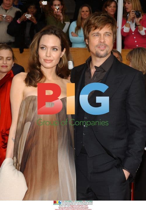 Brad Pitt and Angelina Jolie at 14th Annual SAG Awards