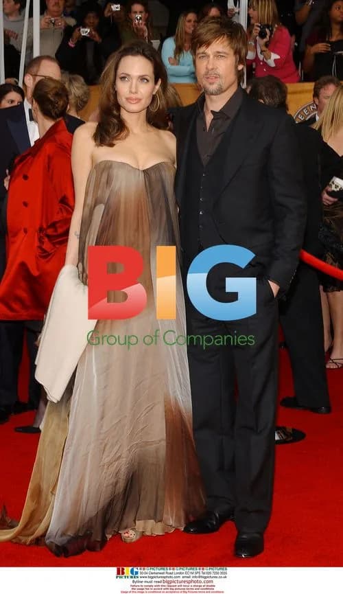 Brad Pitt and Angelina Jolie at 14th SAG Awards