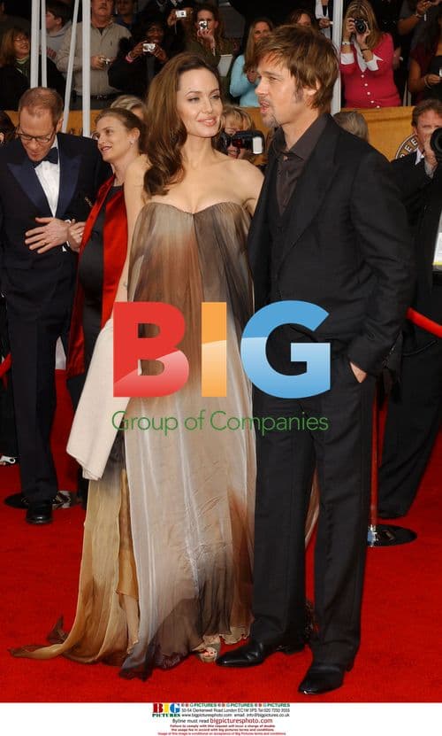 Angelina Jolie and Brad Pitt at 14th Annual SAG Awards