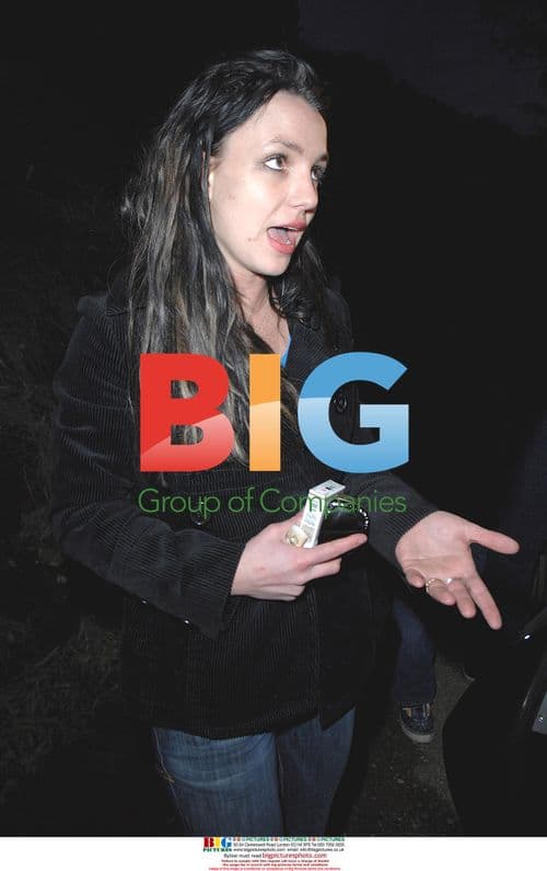 Britney Spears Takes Mercedes Benz for Dangerous Joy Ride