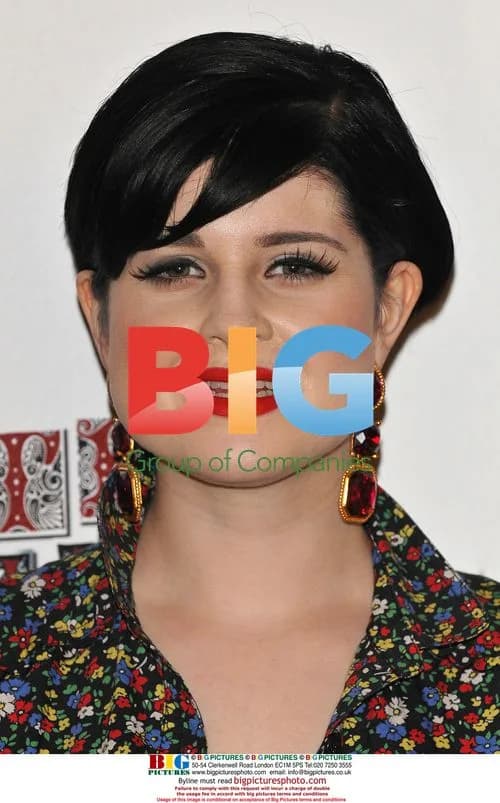 Celebs at South Bank Show Awards 2008