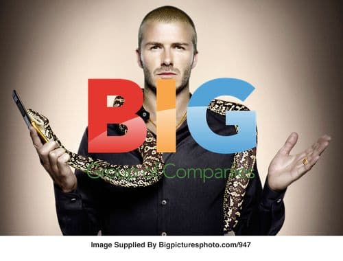 David Beckham Poses with Snake