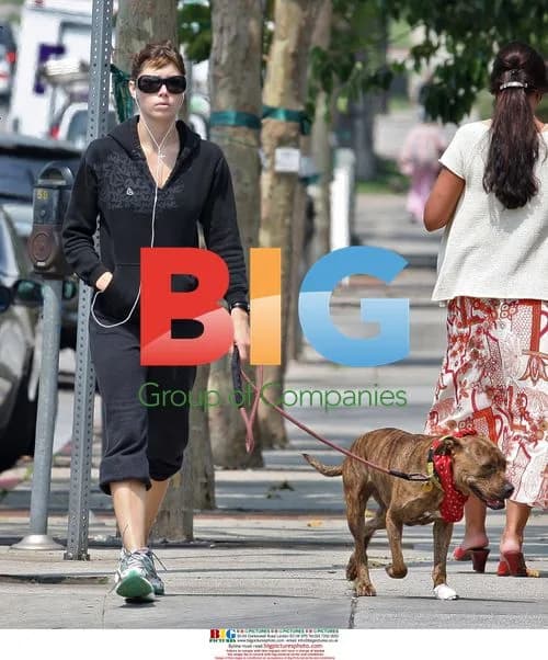 Jessica Biel walks dog in California