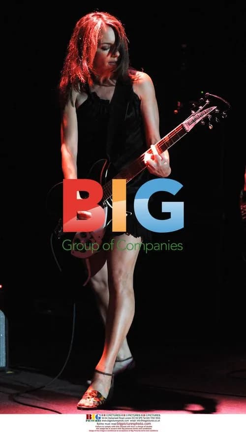 The Bangles Concert in Dublin