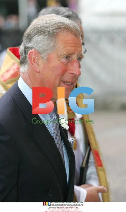 Prince Charles at NHS 60th Anniversary Service
