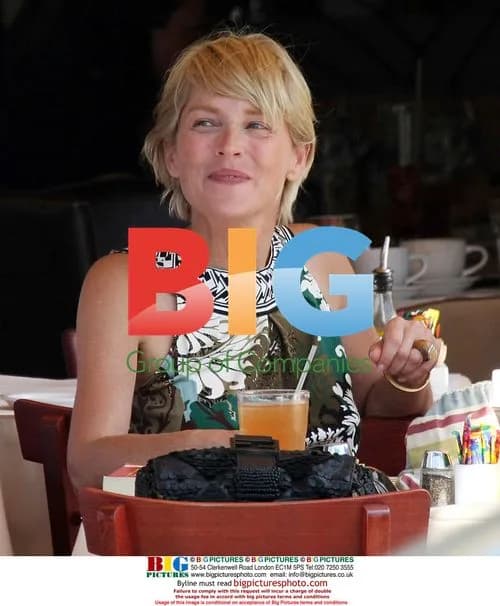 Sharon Stone lunching with friend in LA