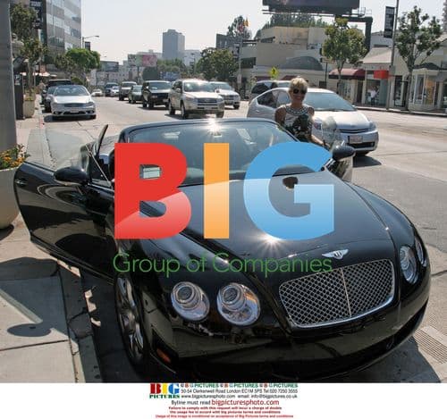 Sharon Stone enjoys lunch in Los Angeles