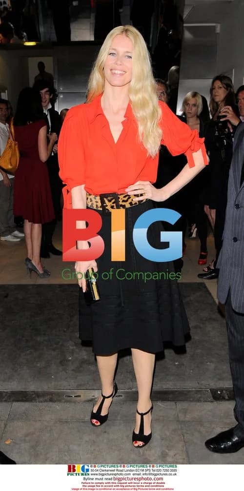 Celebrities at Yves Saint Laurent party in London