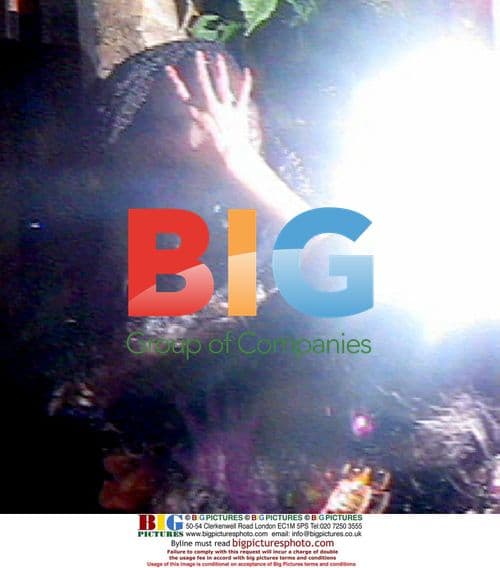 Amy Winehouse slaps security as she exits cab