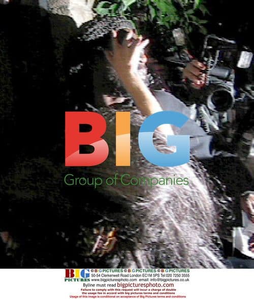 Amy Winehouse slaps security in paparazzi frenzy