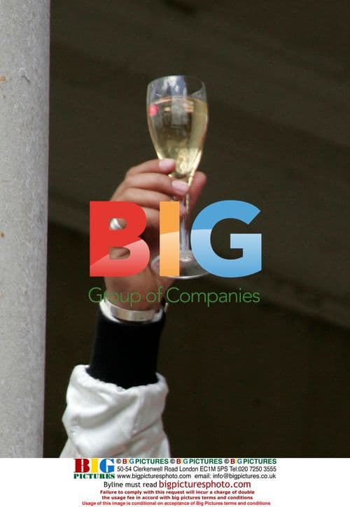 Lewis Hamilton at Goodwood Festival of Speed