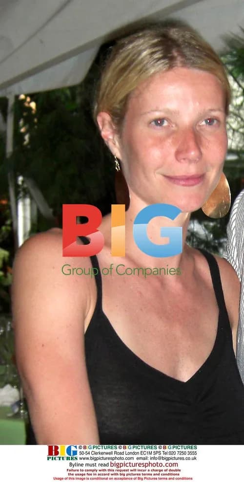 Gwyneth Paltrow at Great Chefs Dinner in East Hampton