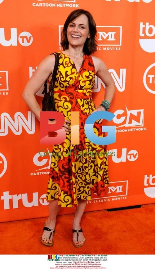 Sarah Clarke arrives at TCA party