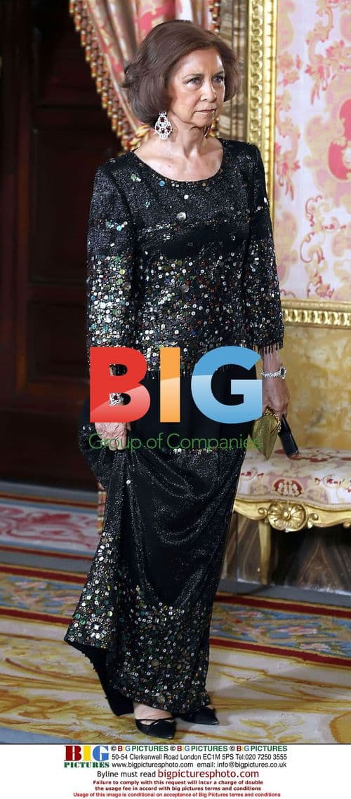 Spanish Royal Family Attend Gala Dinner