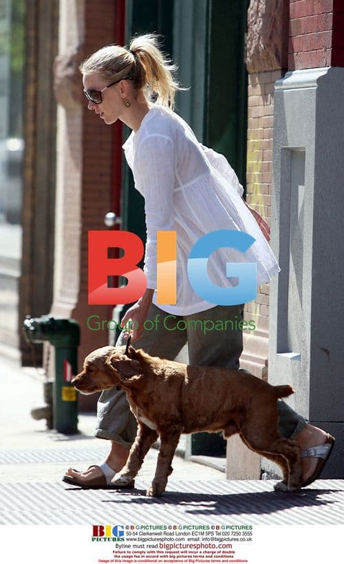 Liev Schreiber and Naomi Watts Load Car for Trip