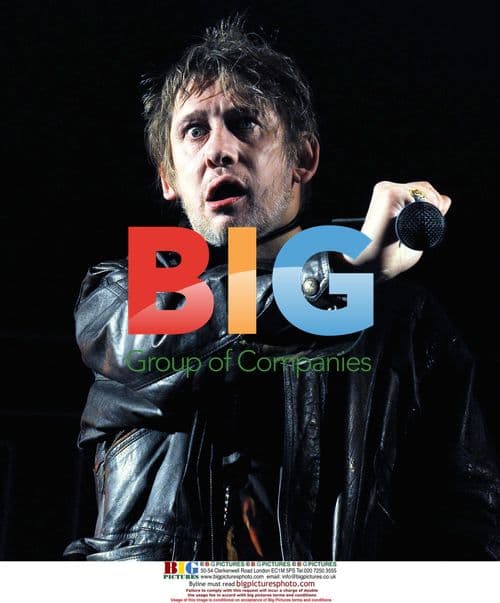 Shane MacGowan Performs at Analog Festival in Dublin