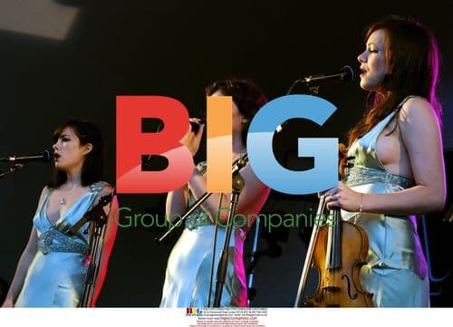 Shane MacGowan at Analog Festival