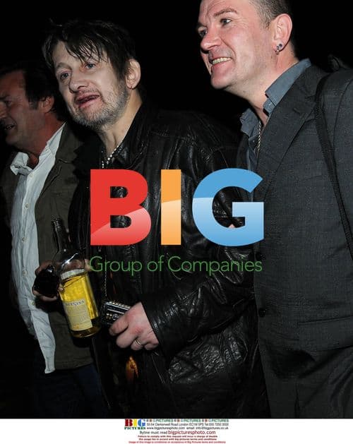 Shane MacGowan performs at Analog Festival