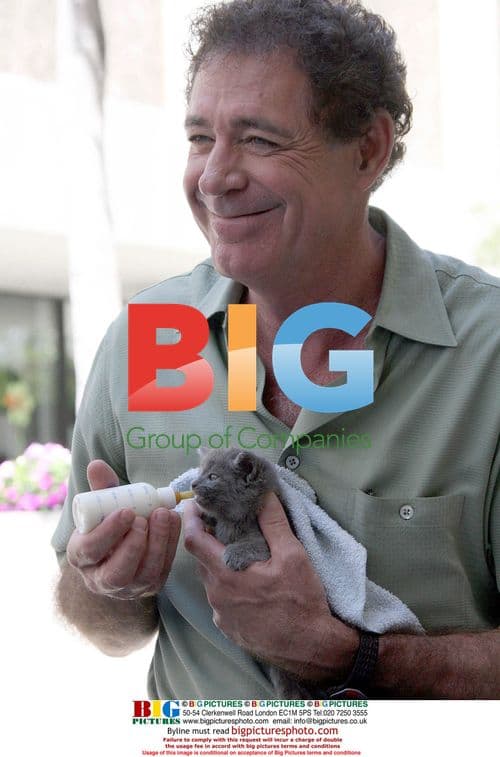 Brady Bunch stars feed kittens in LA