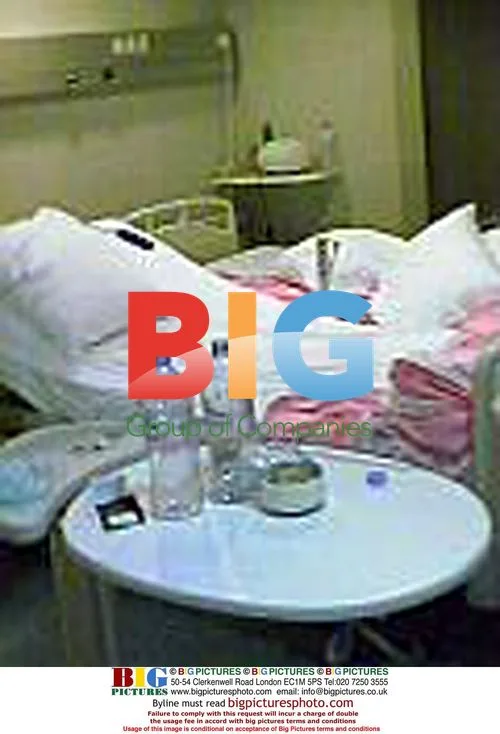 Angelina Jolie's Bedroom After Twins' Birth