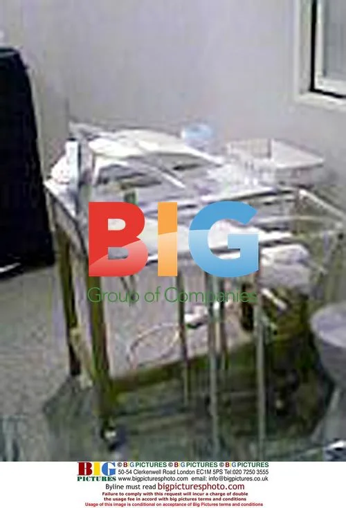 Angelina Jolie's Hospital Room After Twins' Birth
