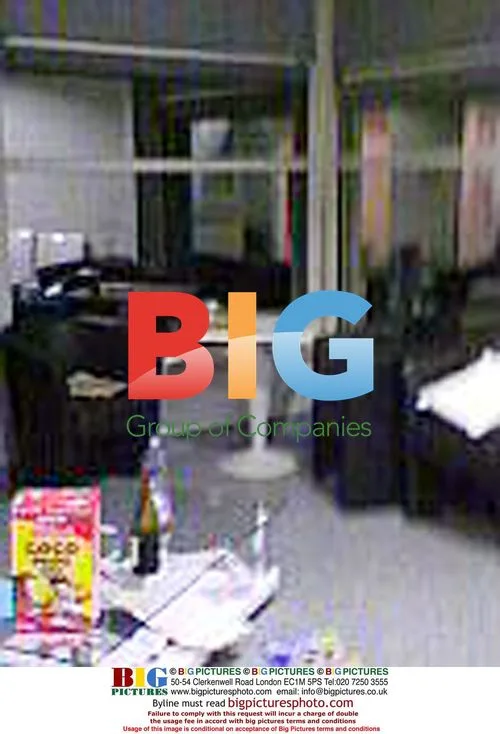 Angelina Jolie's Hospital Room After Twin Birth