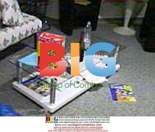 Angelina Jolie's hospital room after twins' birth