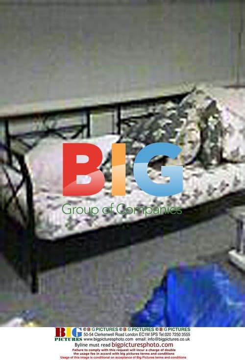 Angelina Jolie's Hospital Room After Twins' Birth