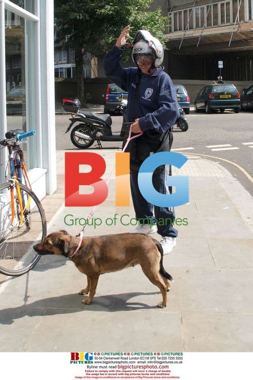 Singer Lily Allen out with friend and dog