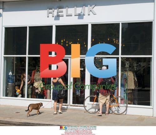 Lily Allen out with friend and dog in London