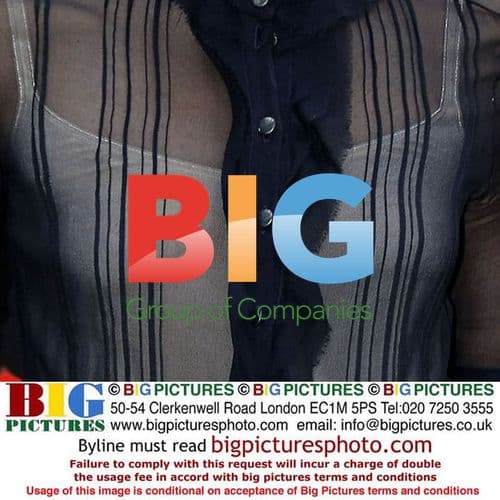 Brendan Fraser and Maria Bello launch 'The Mummy' in Madrid