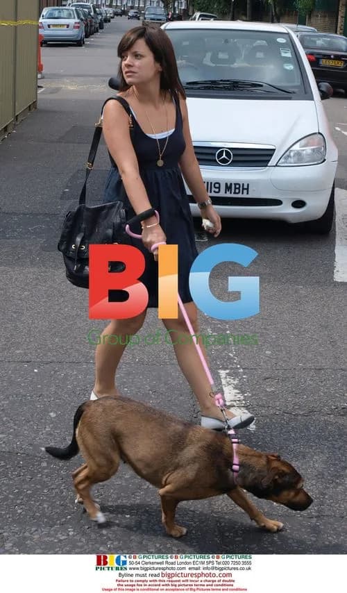 Lily Allen heads to London studio with friend and dog