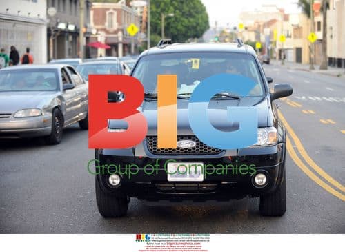 Barbra Streisand with son Jason Gould