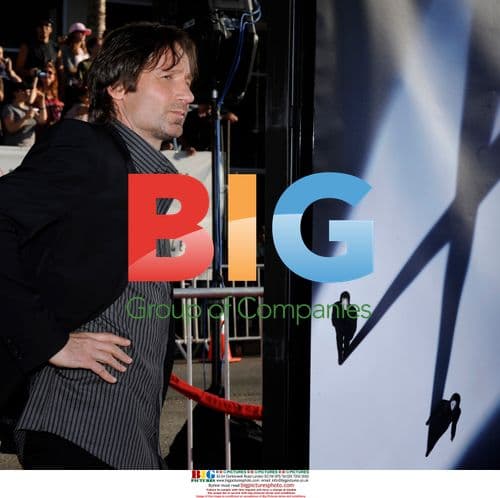 David Duchovny at "The X-Files: I Want to Believe" Premiere