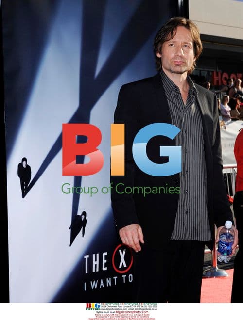 David Duchovny attends "The X-Files" premiere in LA