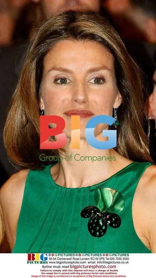 Princess Letizia at Madrid Fashion Week